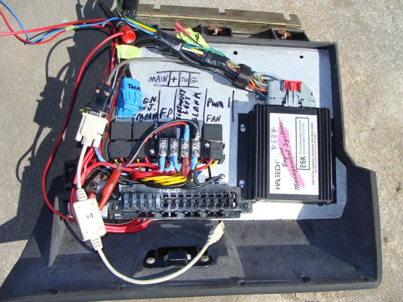 Haltech E6k standalone + 2JZGTE coils and ignitor - Tampa ... haltech e6x wiring diagram 